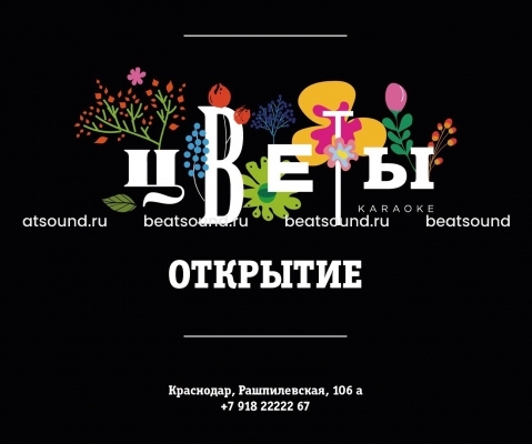 Караоке-холл "Цветы", г. Краснодар